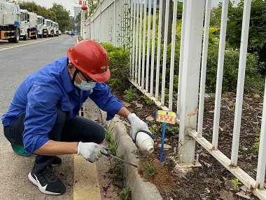 大沥红火蚁防治中心工业园区发现红火蚁怎么应对