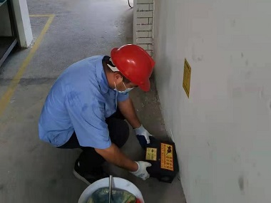 和顺杀虫灭鼠公司老鼠怕的常见用法有哪些