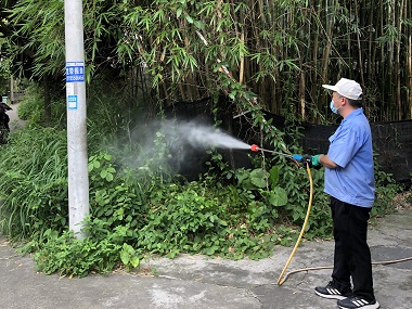 黄岐除四害机构预防登革热，从灭蚊消杀开始